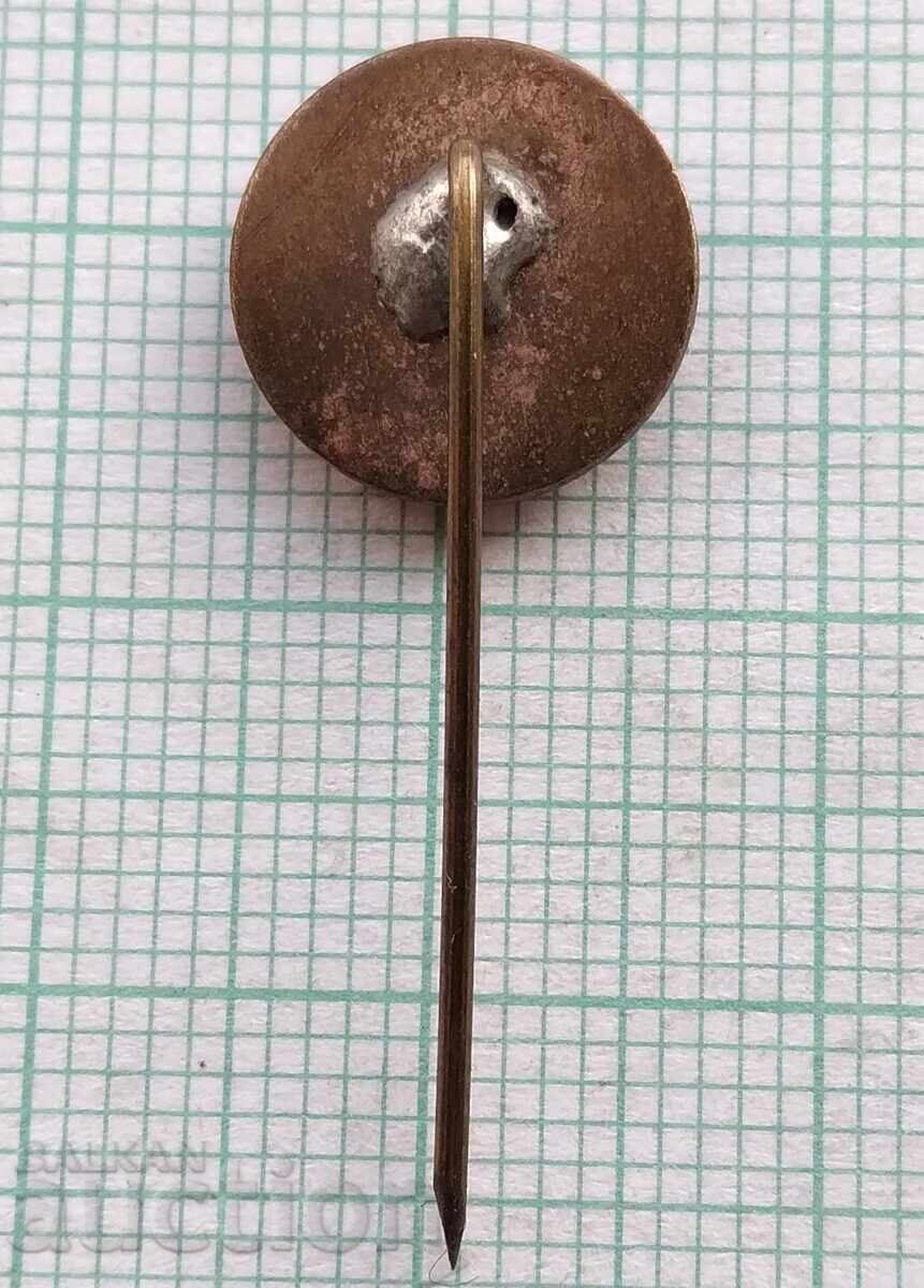 Auction  17838 Badge