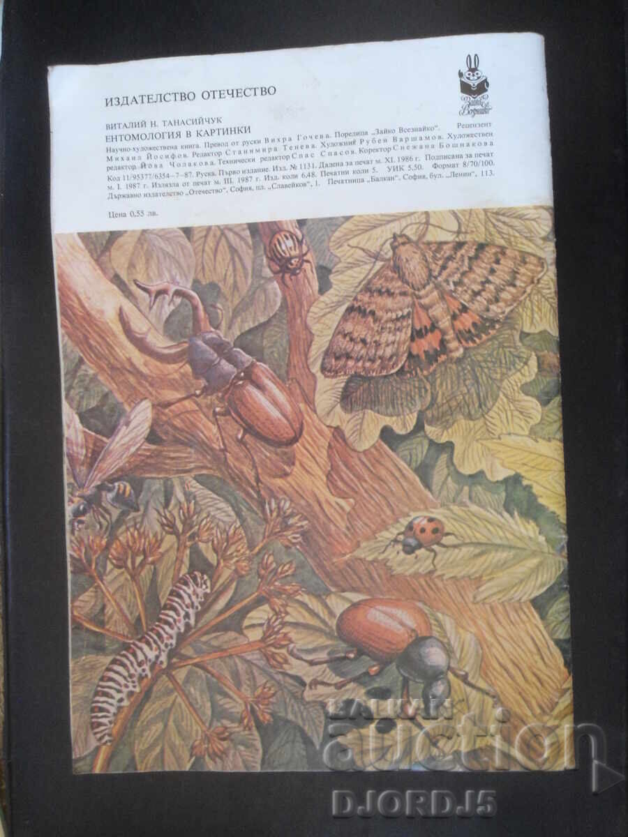 Entomology in pictures - 6