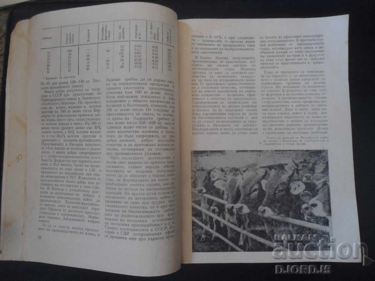 Delivery of LIVESTOCK, issue 2/1978 Delivery of LIVESTOCK, issue 2/1978