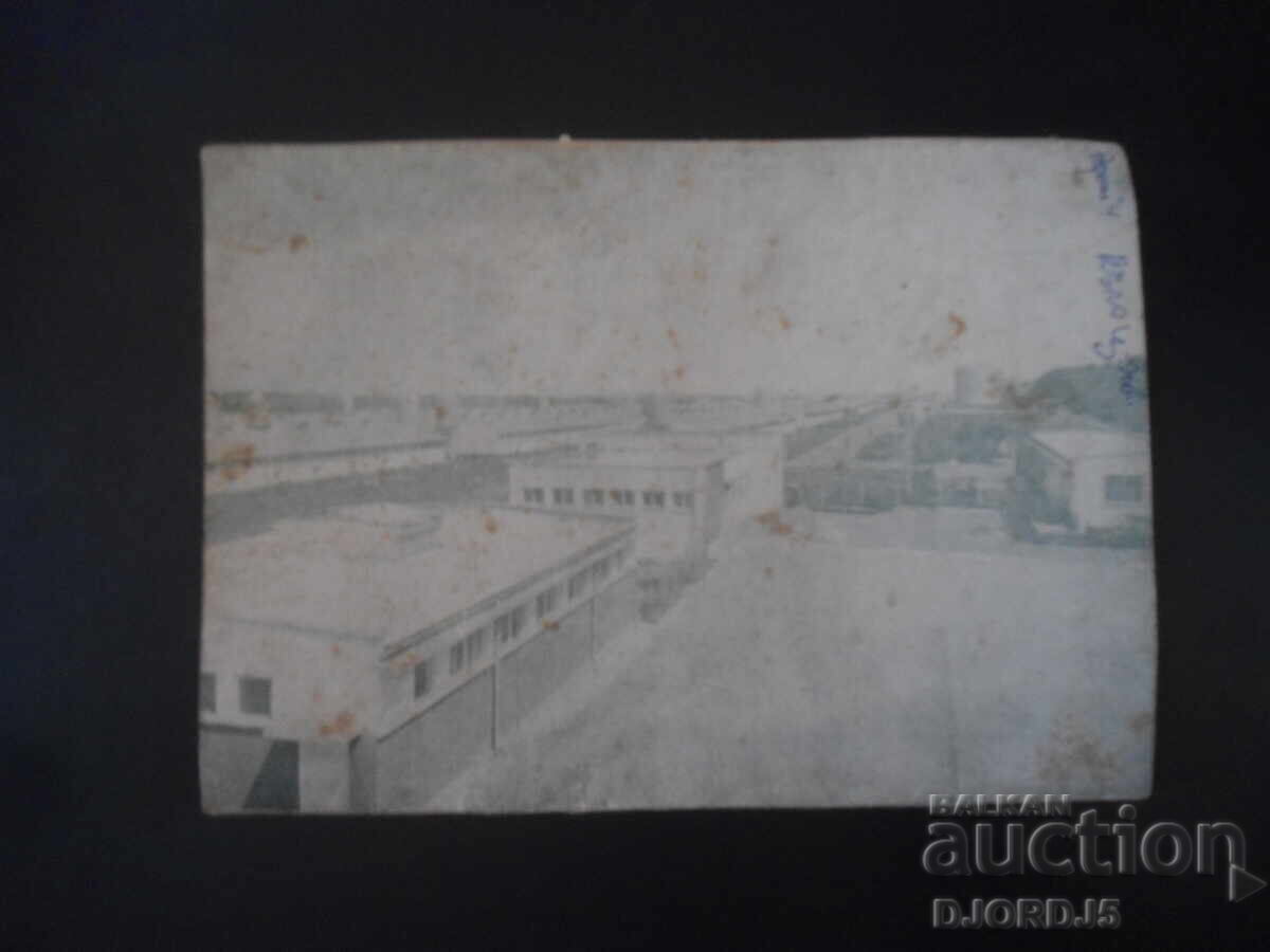 LIVESTOCK, issue 2/1978 - 6 LIVESTOCK, issue 2/1978 - 6