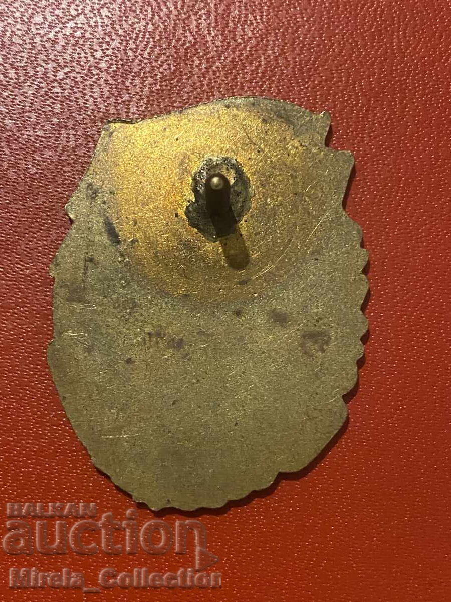 Livrarea Insigna pentru excelență în luptă și pregătire politică Livrarea Insigna pentru excelență în luptă și pregătire politică