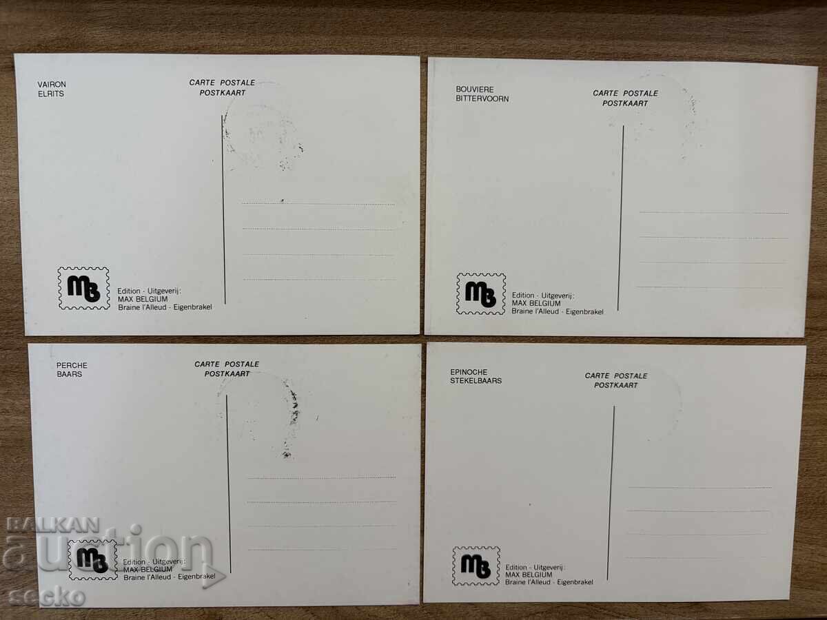 Belgia - Set maxim de cărți - Pești (1990) cu preț 4.00 BGN | € 2.05 Belgia - Set maxim de cărți - Pești (1990) cu preț 4.00 BGN | € 2.05