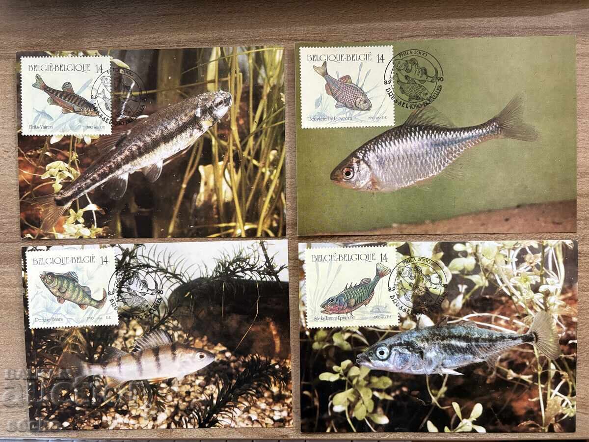 Belgia - Set maxim de cărți - Pești (1990) Belgia - Set maxim de cărți - Pești (1990)