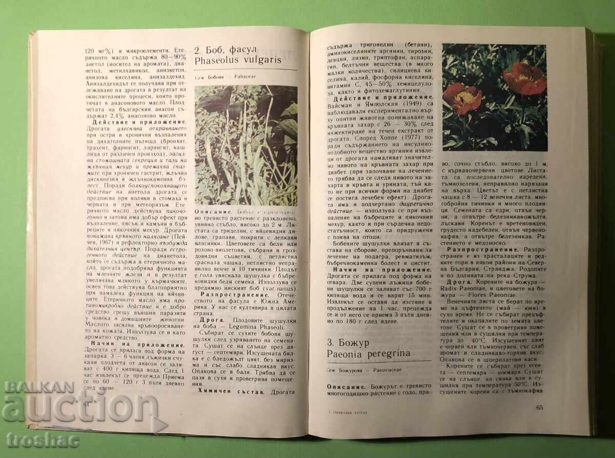 Old Book Natural Pharmacy / D.Pamukov H.Akhtardzhiev - 7 Old Book Natural Pharmacy / D.Pamukov H.Akhtardzhiev - 7