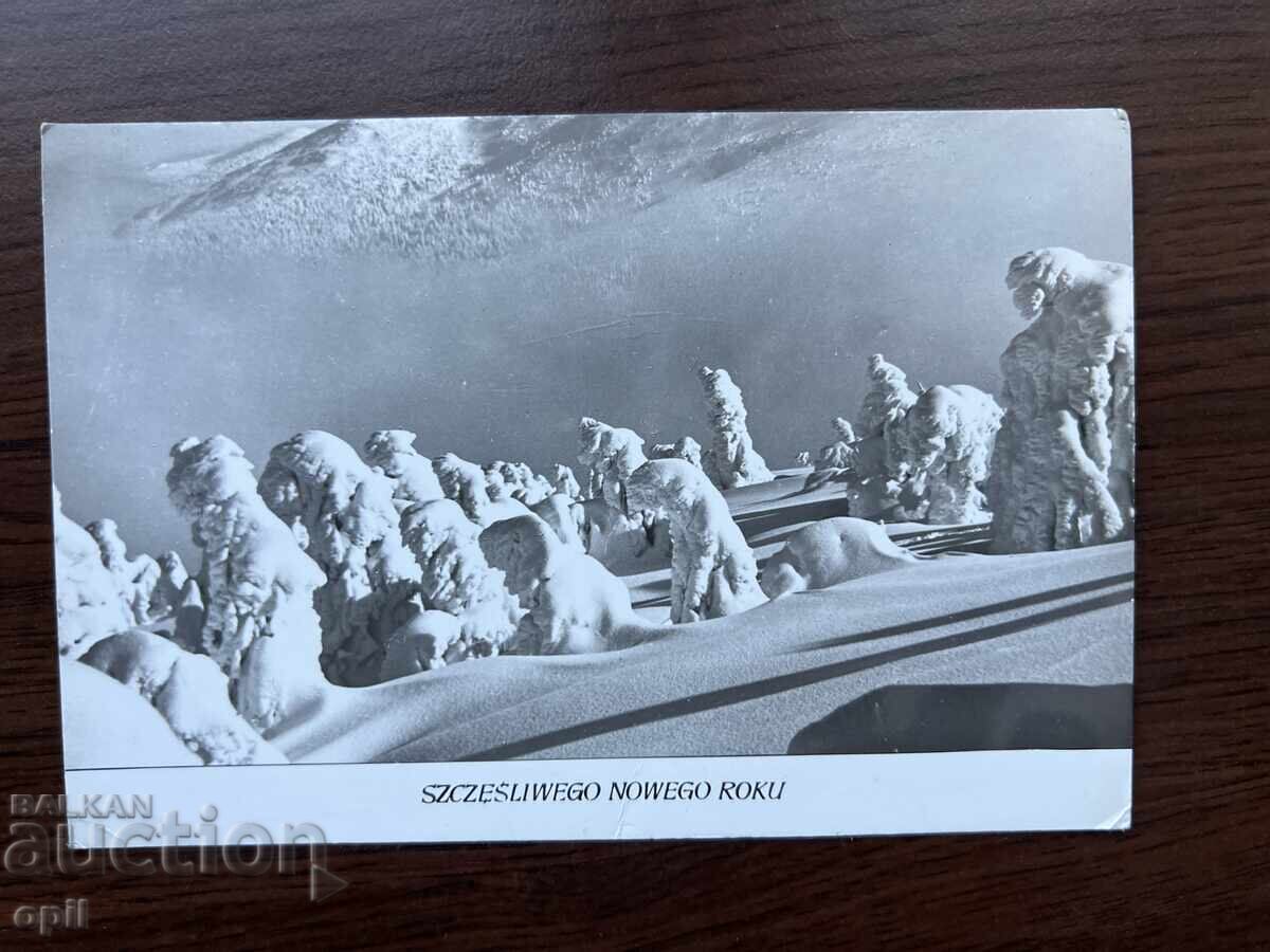 Old Postcard-Warsaw Old Postcard-Warsaw