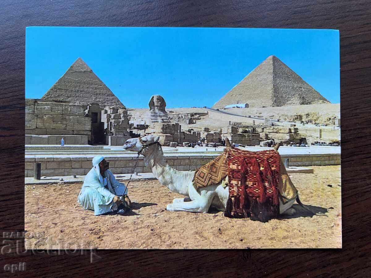 Old Card-Egypt Old Card-Egypt