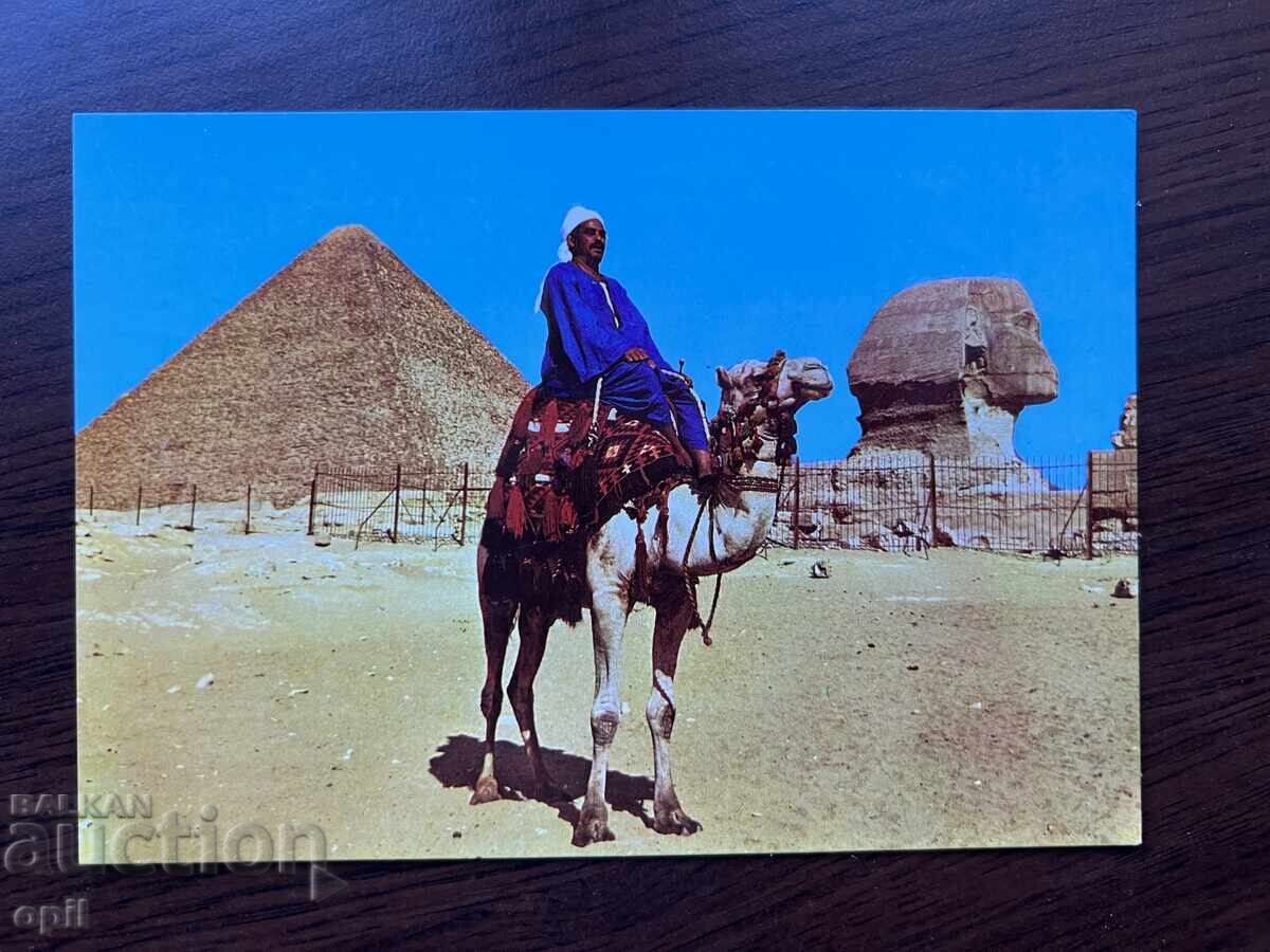 Old Card-Egypt Old Card-Egypt