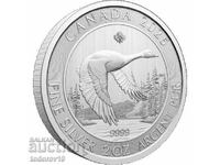 Silver 2 oz Canadian Goose 2025 - Canada