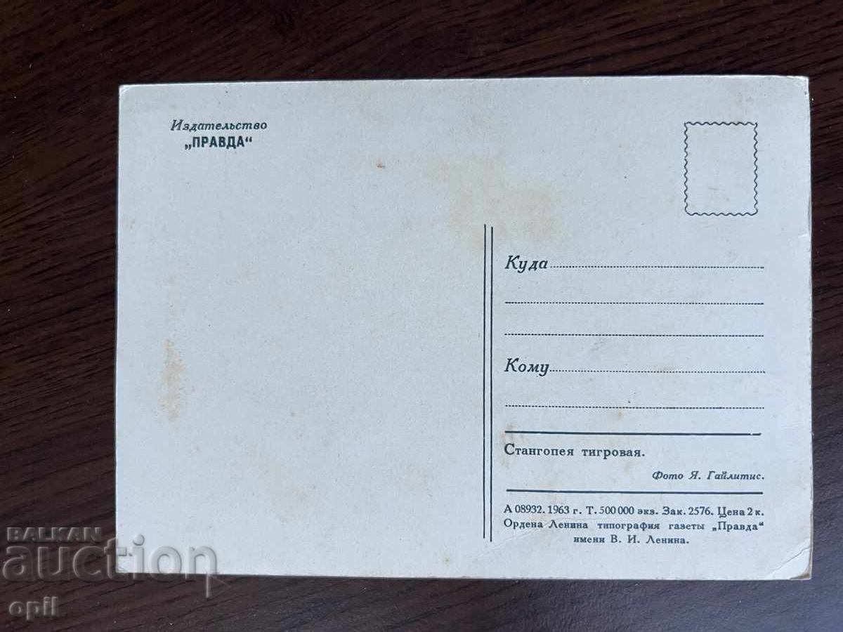 Stara Karticka-Stanhopeya-Tigrova cu preț 0.40 BGN | € 0.20