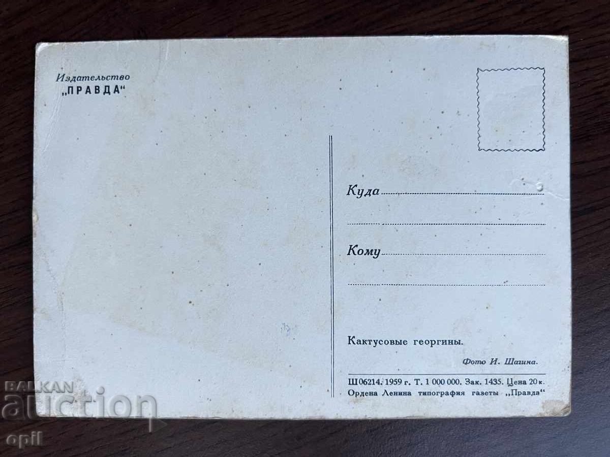 Old Card-Cactus Dahlias with price 0.40 BGN | € 0.20