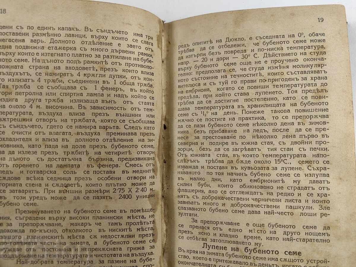 1926 GARDENING AND BULBERRY - 7 1926 GARDENING AND BULBERRY - 7