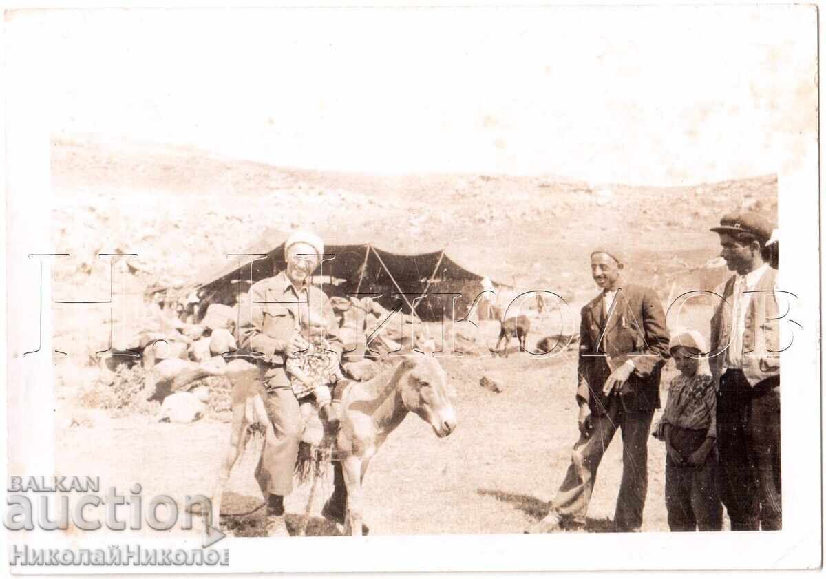 1954 ARHIVA FOTO UNICA MUNTE ARARAT EXPEDITIA D280
