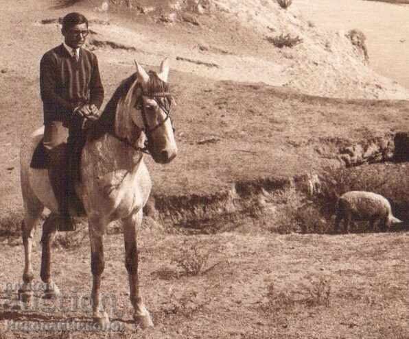 1929 OLD PHOTO HORSE RIDING PANDELOV D281 with price 12.00 BGN | € 6.14 1929 OLD PHOTO HORSE RIDING PANDELOV D281 with price 12.00 BGN | € 6.14
