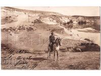 1929 OLD PHOTO HORSE RIDING PANDELOV D281