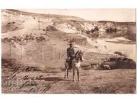 1929 OLD PHOTO HORSE RIDING PANDELOV D281