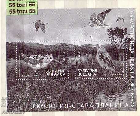 2009 Ecology Fauna Birds 2 souvenir blocks with price 6.00 BGN | € 3.07 2009 Ecology Fauna Birds 2 souvenir blocks with price 6.00 BGN | € 3.07