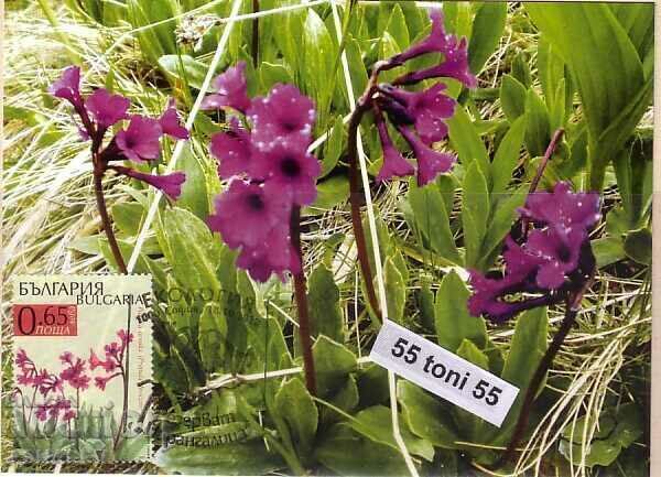 2012 Οικολογικό αποθεματικό Παραγκαλίτσα 2 φύλλα το πολύ με τιμή € 3.60 | 7.04 BGN