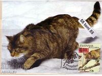 2012 Ecology reserve Parangalitsa 2 cards maximum