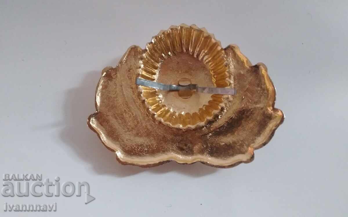 General's cockade Belarus with price 50.00 BGN | € 25.56 General's cockade Belarus with price 50.00 BGN | € 25.56