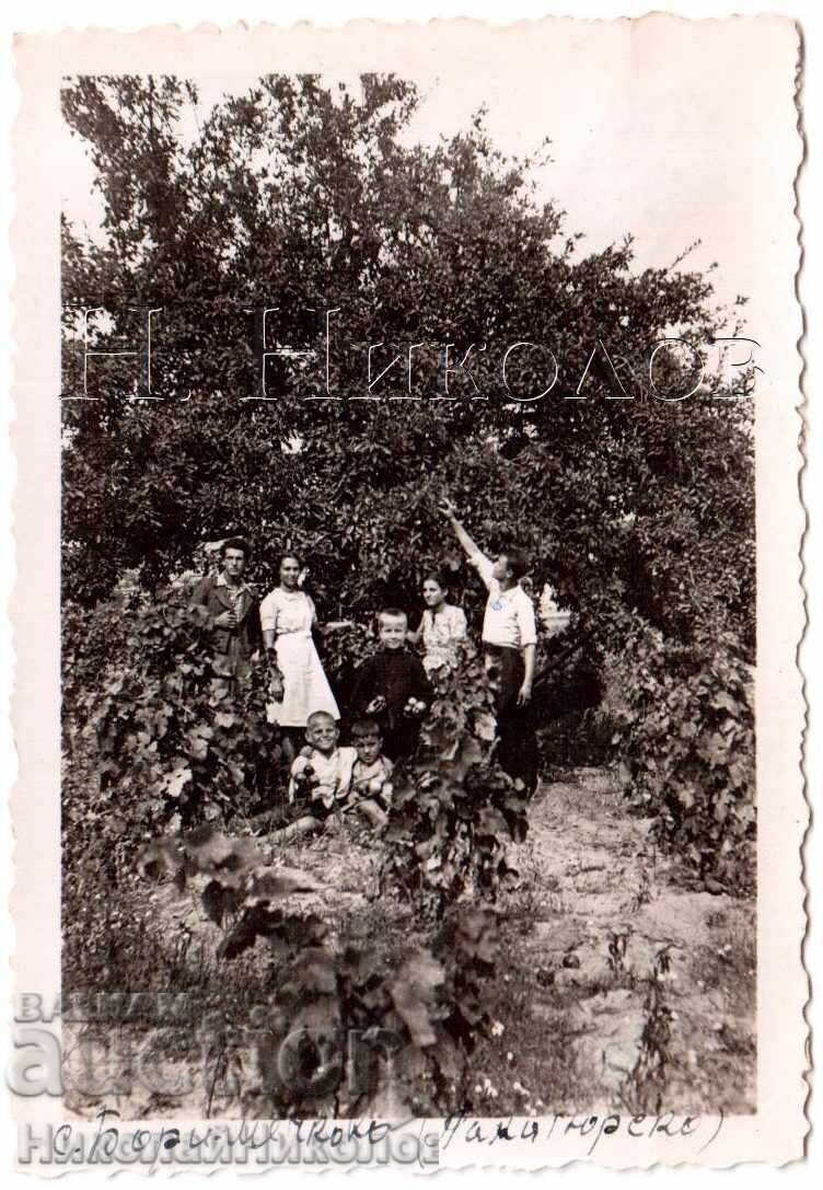 MIC VECHI SAT FOTO BORIMECHKOVO PAZARGJIK D302