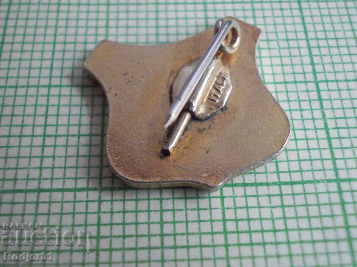 Livrarea insigne - orașe Italia - Pisa