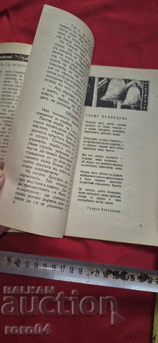 Licitație STRAPUL PENTRU COPII