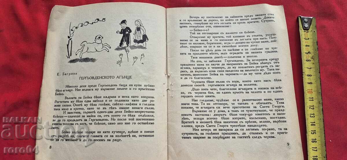 Auction WINDOW - DORA GABE Auction WINDOW - DORA GABE