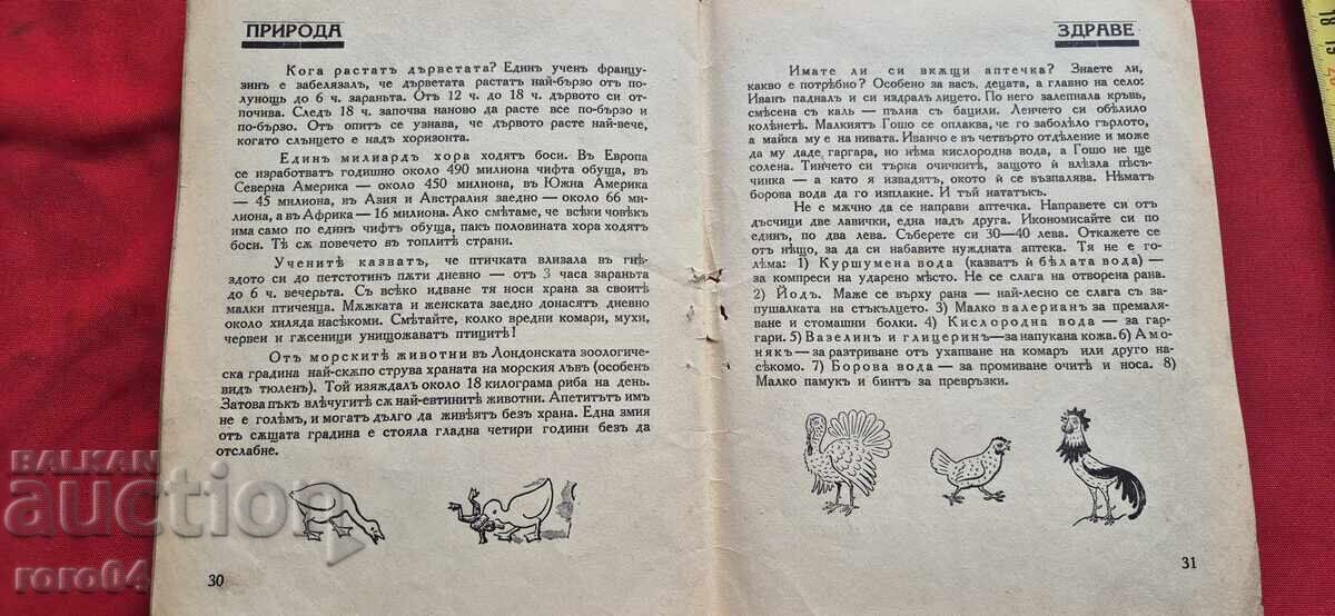 WINDOW - DORA GABE - 6 WINDOW - DORA GABE - 6