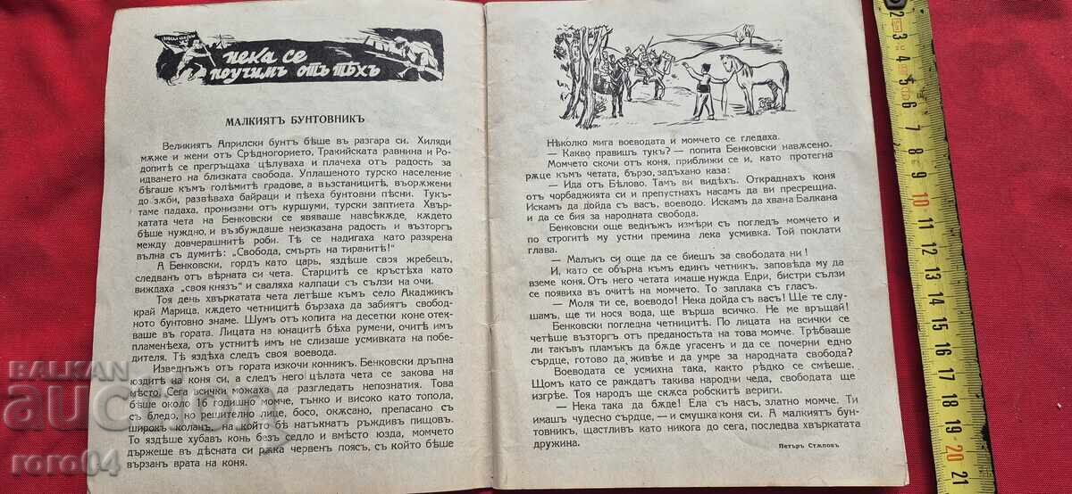 Auction WINDOW - DORA GABE Auction WINDOW - DORA GABE