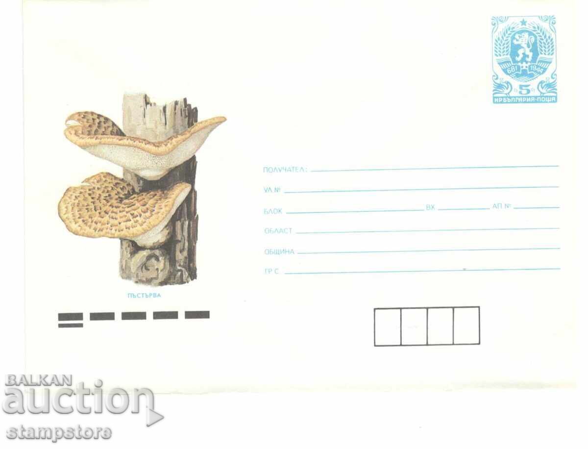 PP Mushrooms - Trout PP Mushrooms - Trout