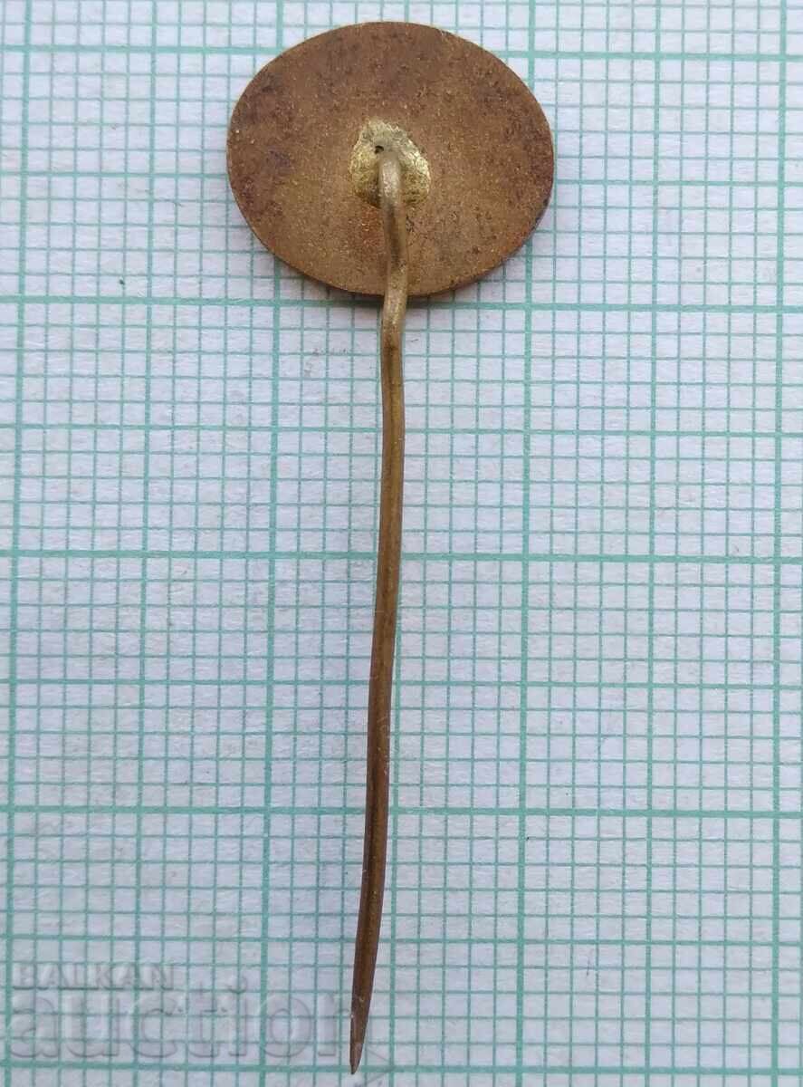 Auction 17894 Badge - Hotel Alta Mihajlovce Slovakia - bronze enamel Auction 17894 Badge - Hotel Alta Mihajlovce Slovakia - bronze enamel