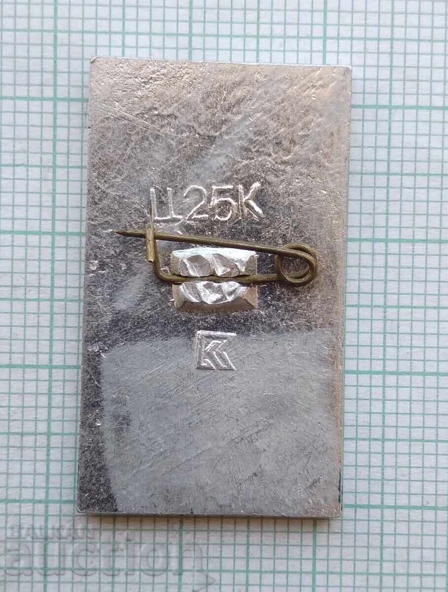 Auction 17897 Badge - Sophia of Kiev Auction 17897 Badge - Sophia of Kiev