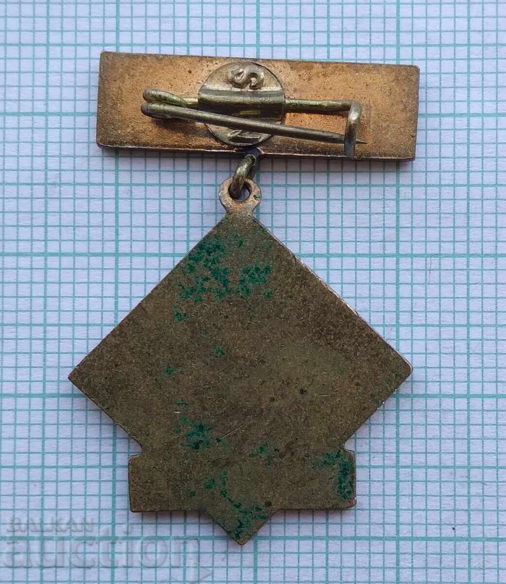 Auction 17915 United in the patriotic cause Romania - bronze enamel Auction 17915 United in the patriotic cause Romania - bronze enamel