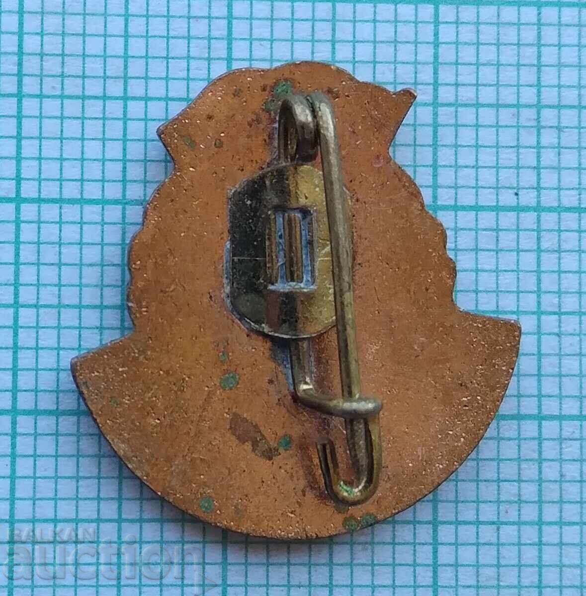 Auction 17916 Sports instructor Romania - bronze enamel Auction 17916 Sports instructor Romania - bronze enamel