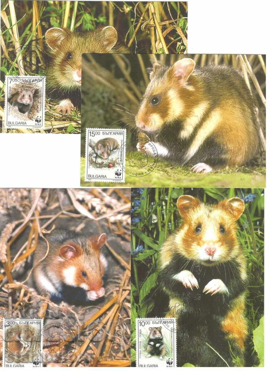 4 pieces of WWF KM 4 pieces of WWF KM