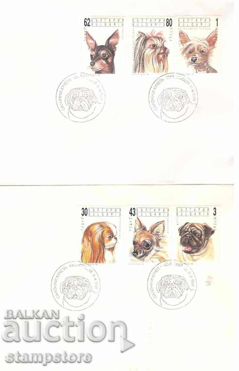 2 envelopes Salon Dogs