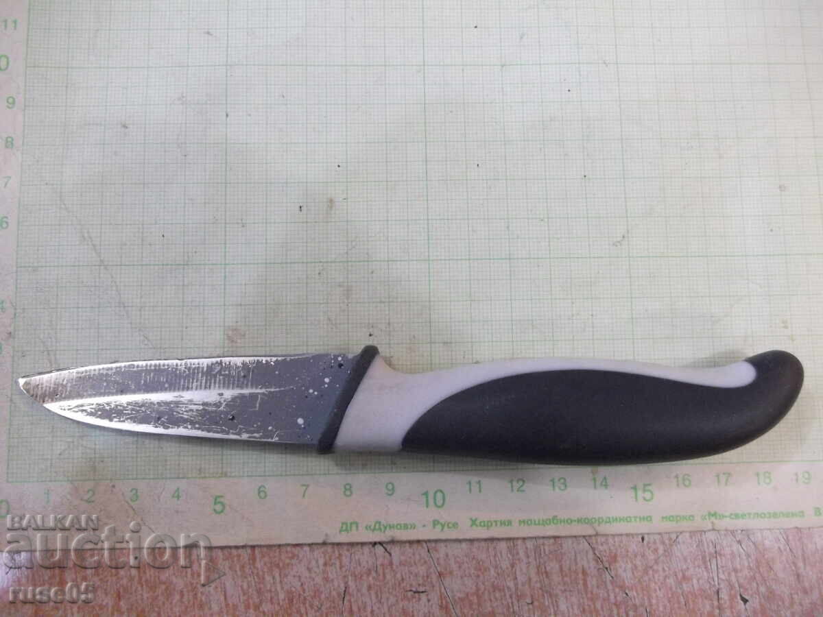 Auction Knife "ERNESTO" Auction Knife "ERNESTO"