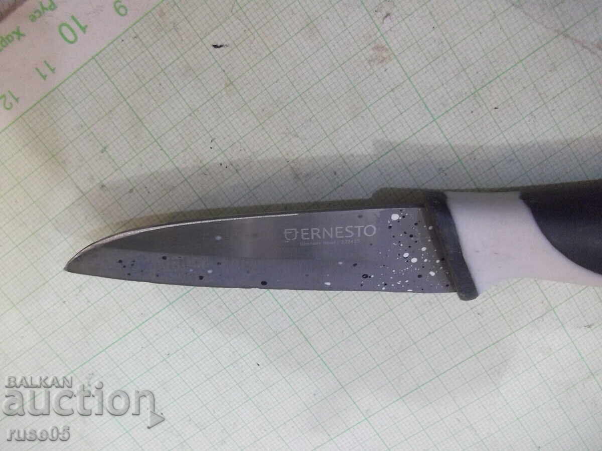 Knife "ERNESTO" - 5 Knife "ERNESTO" - 5