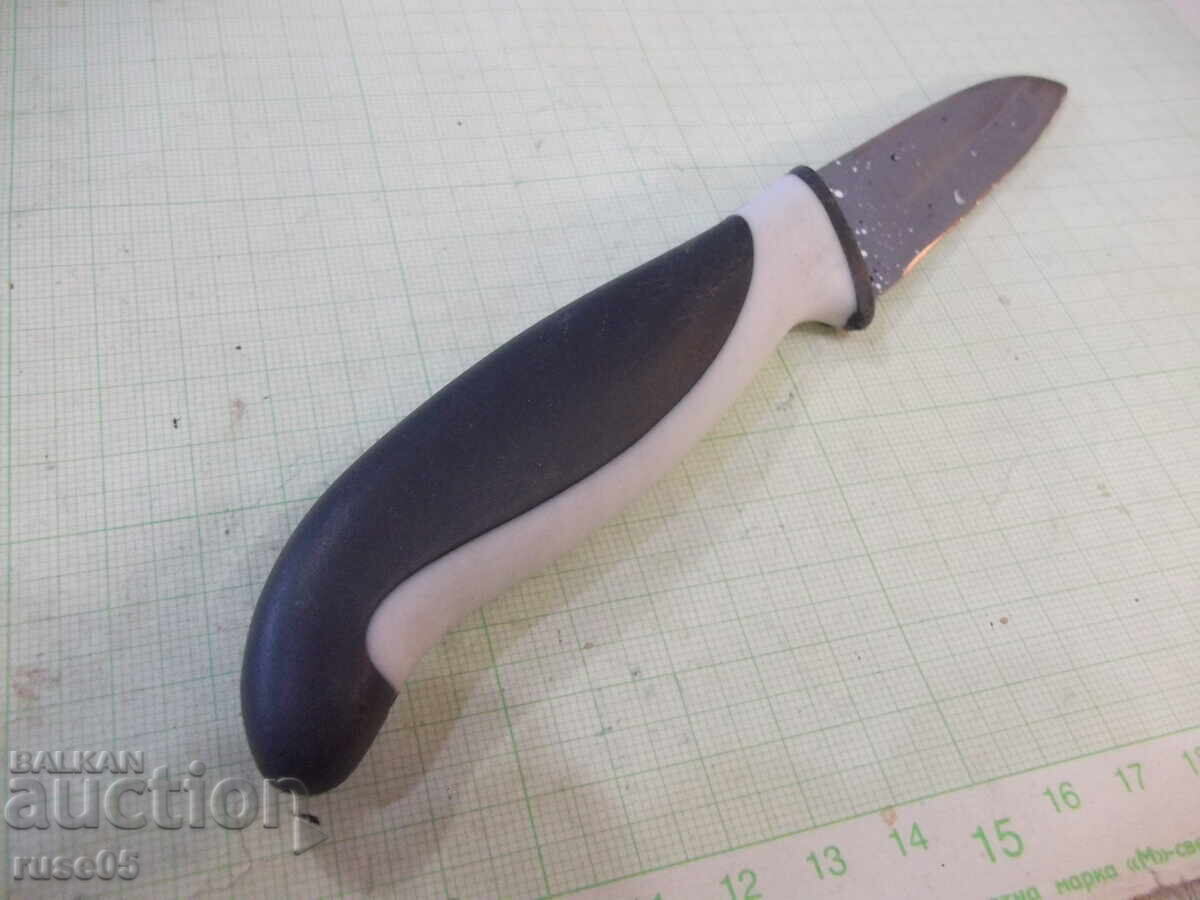 Knife "ERNESTO" - 6 Knife "ERNESTO" - 6