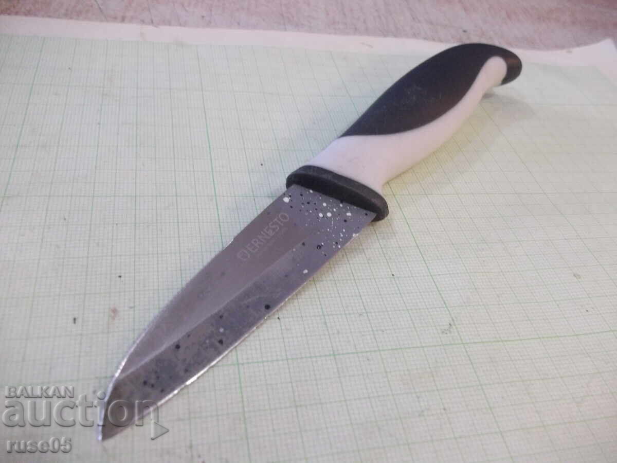Knife "ERNESTO" - 7 Knife "ERNESTO" - 7