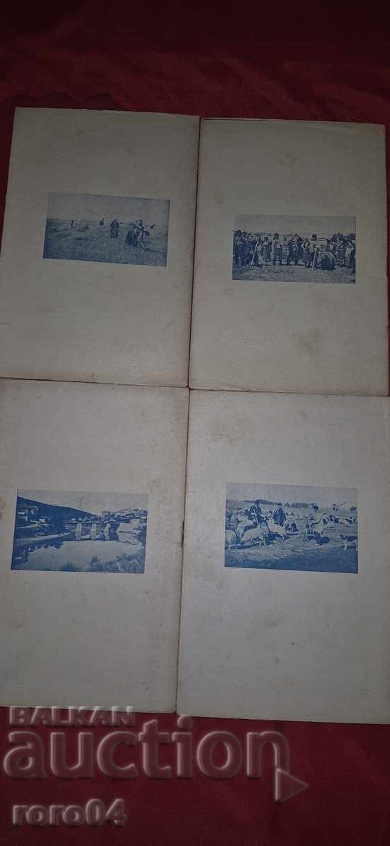 ДЕТСКИ СВЯТ - 6 ДЕТСКИ СВЯТ - 6