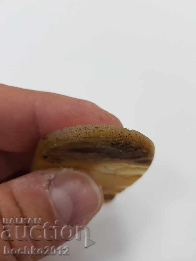 Παράδοση Αναγεννησιακό μετάλλιο, παναγία, θρησκευτικά μοτίβα Kuna Παράδοση Αναγεννησιακό μετάλλιο, παναγία, θρησκευτικά μοτίβα Kuna