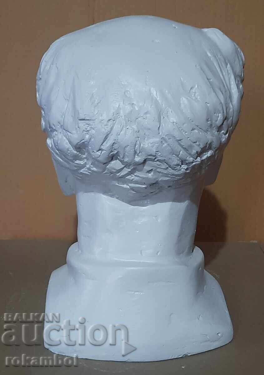 Delivery of Educational plaster model Delivery of Educational plaster model