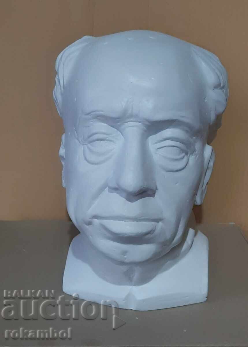 Educational plaster model - 5 Educational plaster model - 5