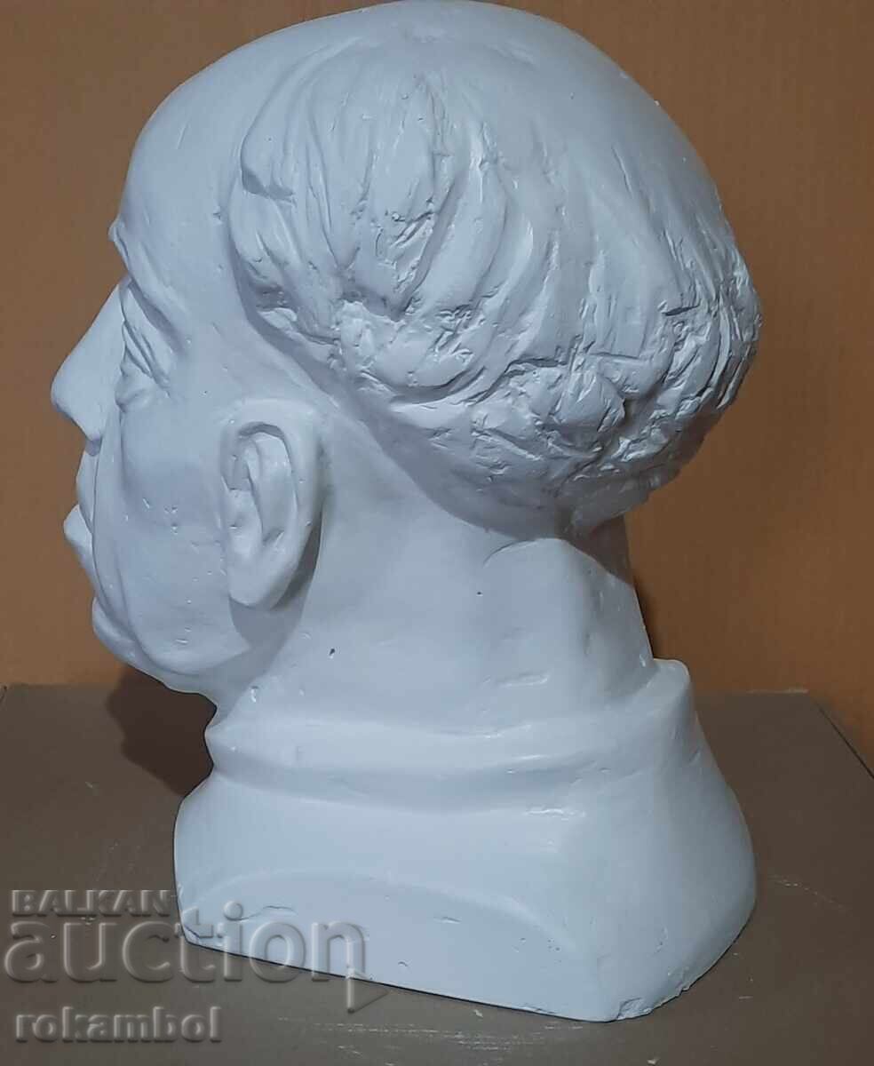 Educational plaster model - 6 Educational plaster model - 6