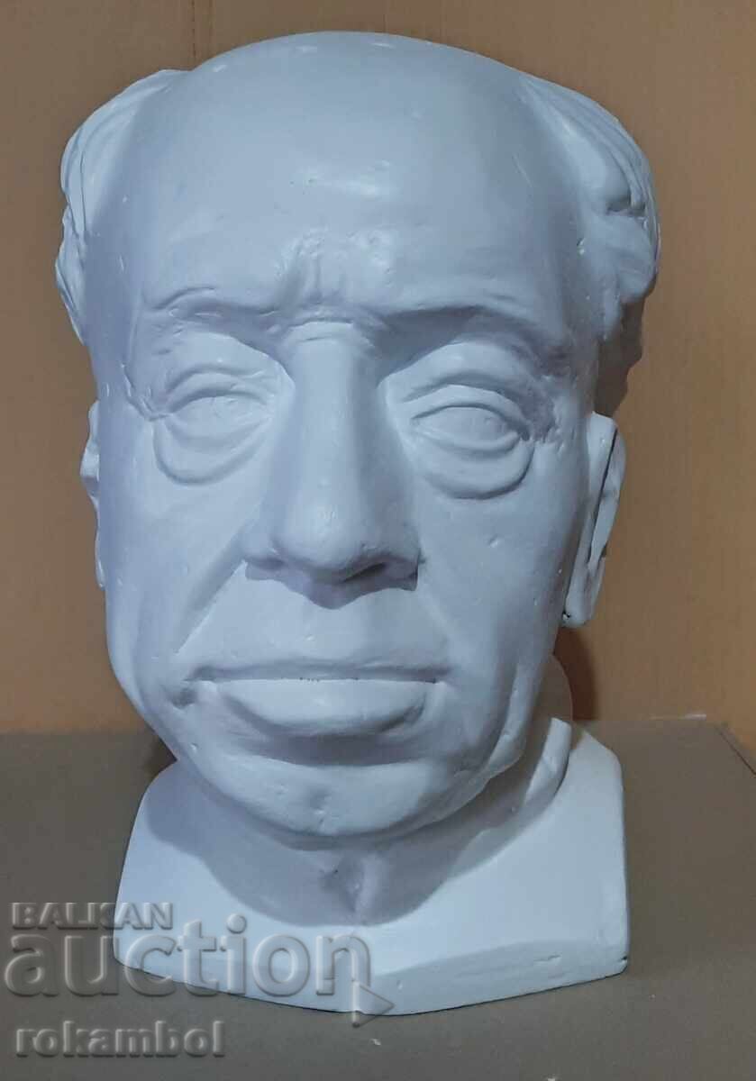 Educational plaster model Educational plaster model