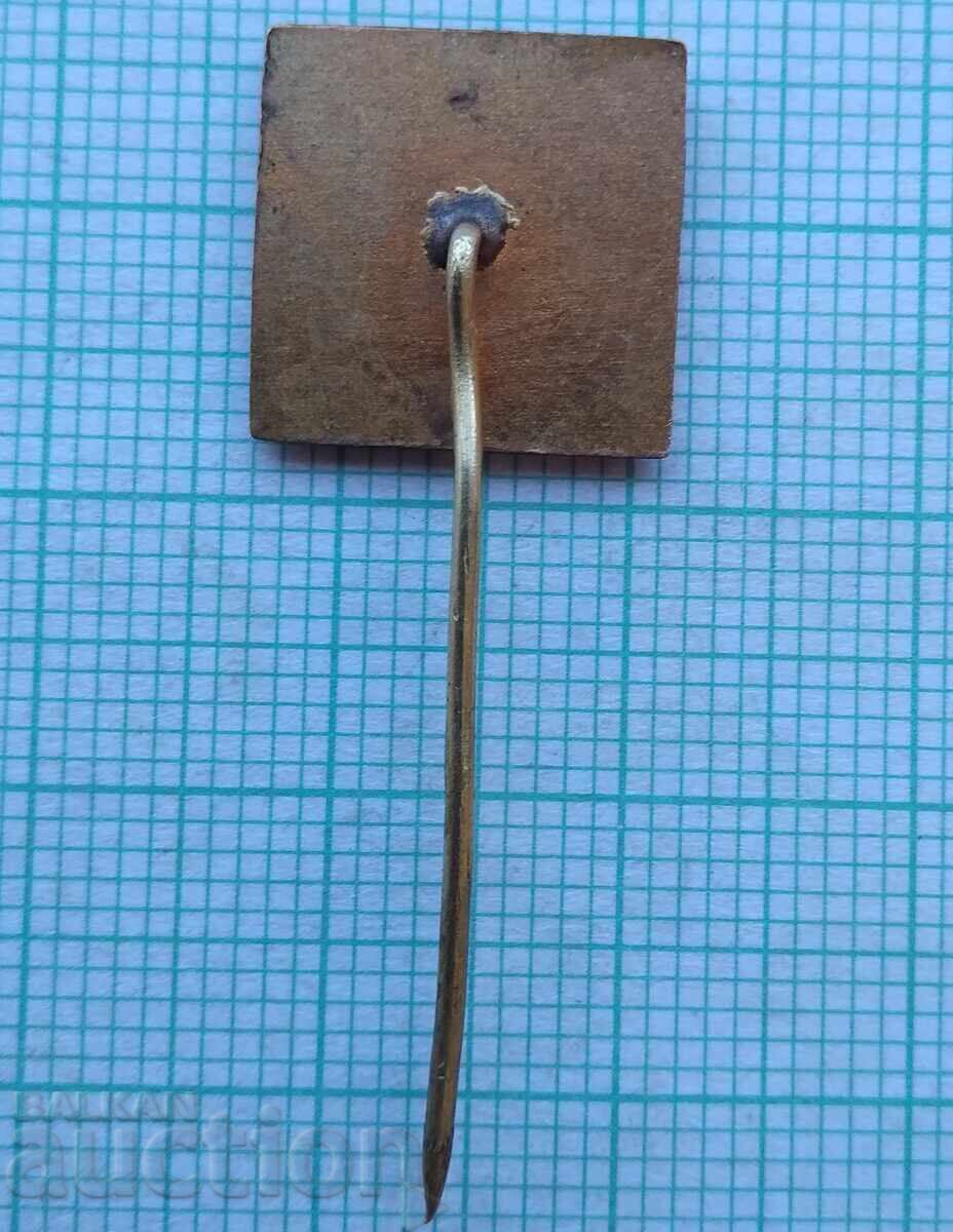 Auction 17945 Badge - Map of Bulgaria - bronze enamel Auction 17945 Badge - Map of Bulgaria - bronze enamel