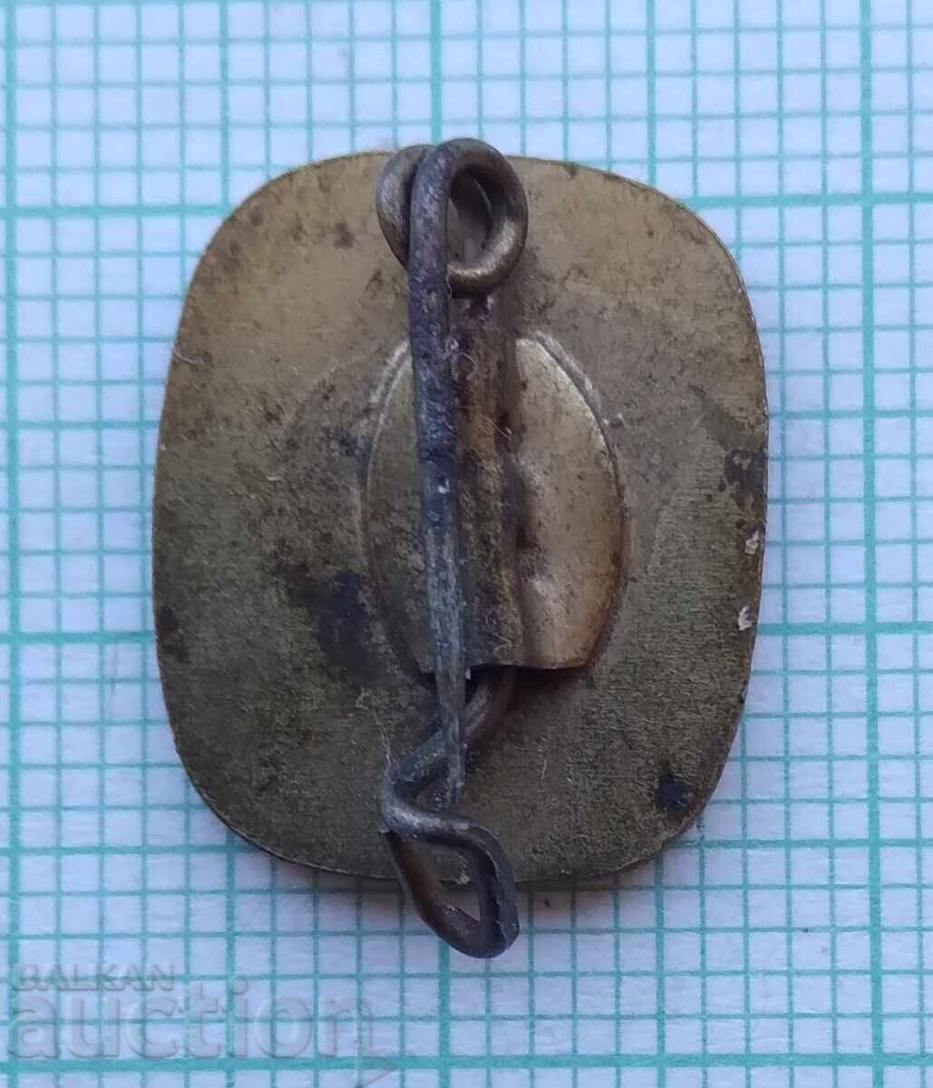 Auction 17953 Badge - FDGB Auction 17953 Badge - FDGB