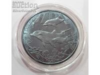 Titanium 5$ Dolphins 2014 Virgin Islands