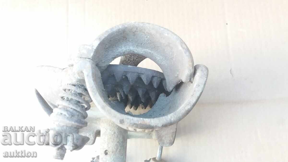 Livrarea MASSIVE PORUMB GROS - LUCRU EXCELENT